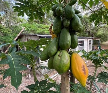 Putnam Hall House | Half Moon Lake Retreat