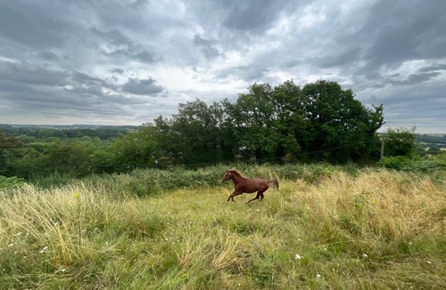 Sarge-sur-Braye Apartment | Halte champêtre