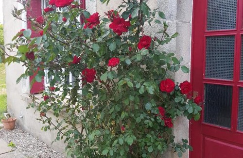 Le Saint House | Hameau de Leignoua