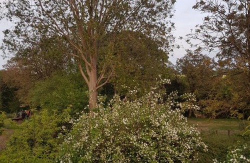 Le Saint House | Hameau de Leignoua