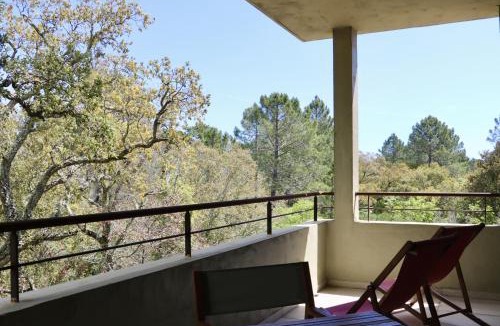 Sotta House | Hameau de Petripini