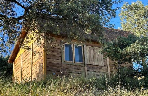Nuno Gomez House | Hamlet's Friends