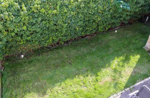 Richmond-upon-Thames Villa | Hampton Court Cottage