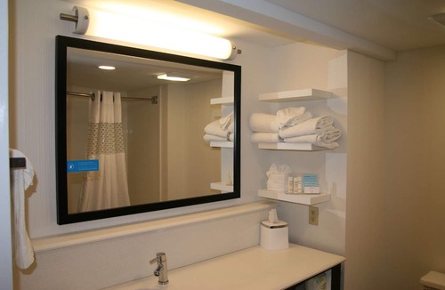 Birch Run Hotel | Hampton Inn Birch Run/Frankenmuth