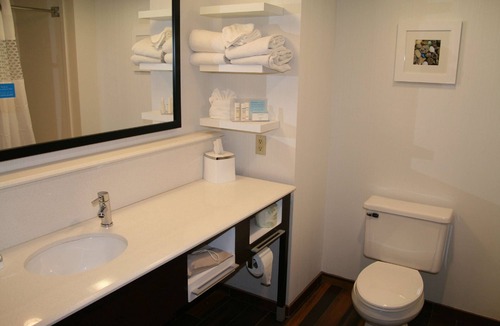 Birch Run Hotel | Hampton Inn Birch Run/Frankenmuth