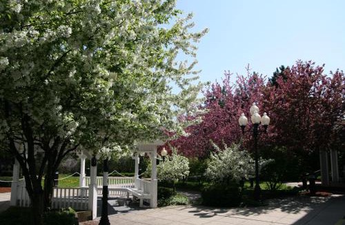 Burlington Hotel | Hampton Inn Burlington - Colchester