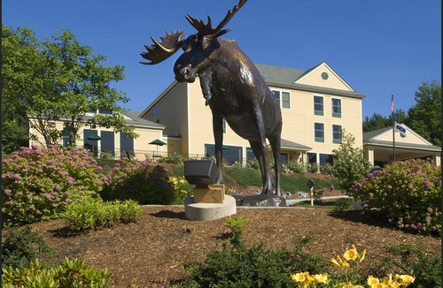 Freeport Hotel | Hampton Inn Freeport/Brunswick