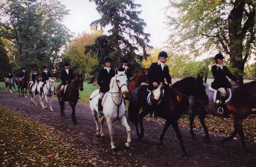 Geneseo Hotel | Hampton Inn Geneseo