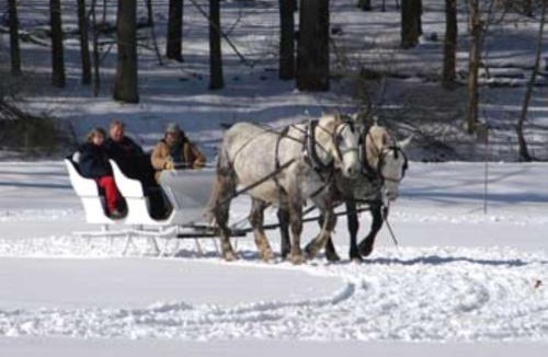 Geneseo Hotel | Hampton Inn Geneseo
