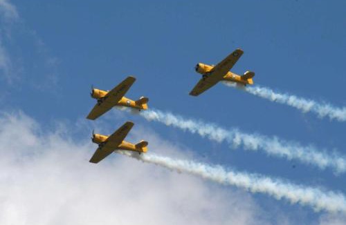 Geneseo Hotel | Hampton Inn Geneseo