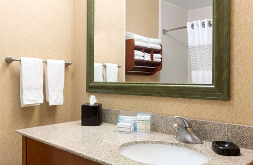 Deco Hotel | Hampton Inn Houston-Willowbrook Mall