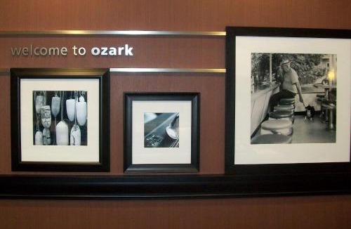 Ozark Hotel | Hampton Inn Ozark