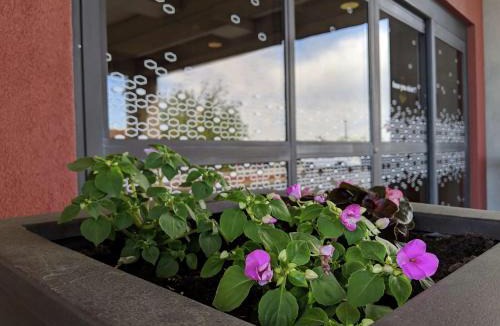 West Chester Hotel | Hampton Inn & Suites Cincinnati-Union Centre