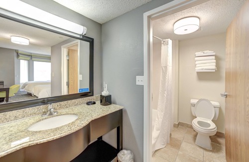 Webster Hotel | Hampton Inn & Suites Houston/Clear Lake-Nasa Area