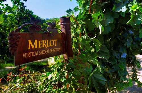 Lodi Hotel | Hampton Inn & Suites Lodi