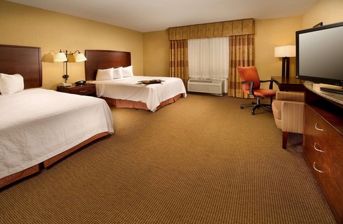North San Antonio - SAT Hotel | Hampton Inn & Suites San Antonio-Airport