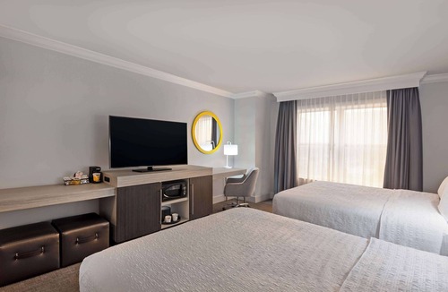 Stamford Hotel | Hampton Inn & Suites Stamford