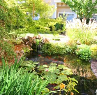 Ukiah Hotel | Hampton Inn Ukiah