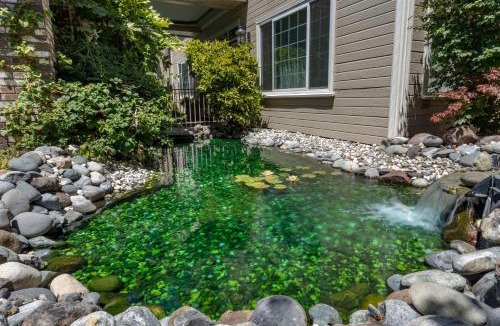 Ukiah Hotel | Hampton Inn Ukiah