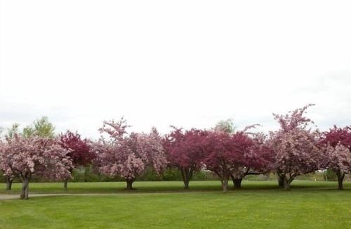 Town of Yates House | Hamptons North