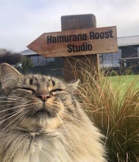 Hamurana Bed & Breakfast | Hamurana Roost