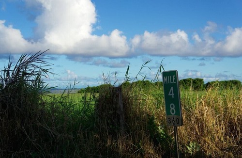 Puuiki House | Hana Ocean Palms Bungalows