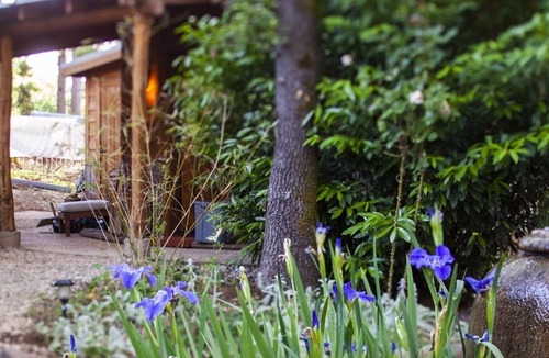 Rough and Ready Apartment | Handcrafted Roundhouse studio & loft. Large sky window + private outdoor shower