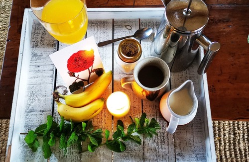 Richmond Downs House | Handhewn Barn in a field