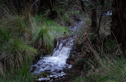 Woodend Bed & Breakfast | Hanging Rock Views