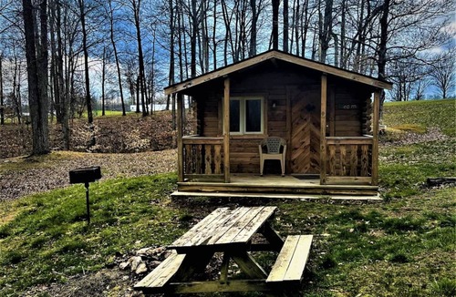 Helmsburg Cabin | "Hank" Camping Cabin #1 | Pet Friendly