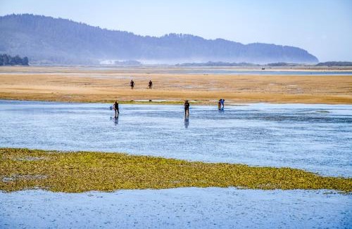 Tillamook House | Happy Camp Beachfront Cabin