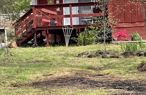 Heber Springs Cabin | Happy Camper Cabin is cozy and quiet!