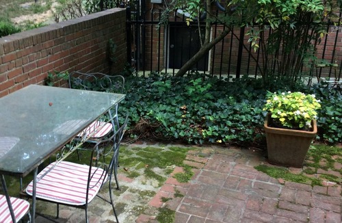 Garden Hills House | Happy Home in Buckhead