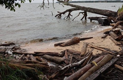 Driftwood House | !HAPPY OURS BAY COTTAGE!