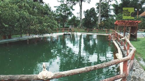 Janda Baik House | Happy Paradise