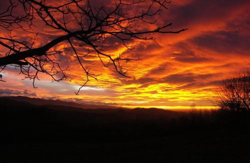 Lasserre House | Haras Picard Du Sant Le Chalet