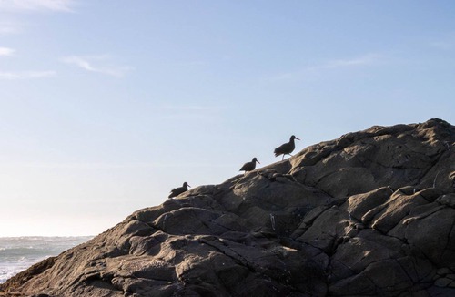 Gold Beach Cabin | Harbor View Cabin - Unit B