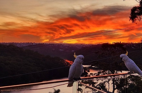 Seaforth House | Harbour Escape - breathtaking views!