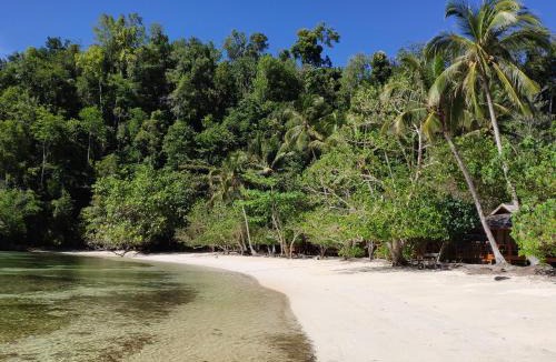 Pulau Kadidi Resort | Harmony Bay Resort and Dive Center