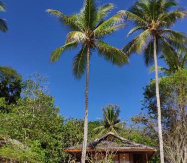 Pulau Kadidi Resort | Harmony Bay Resort and Dive Center