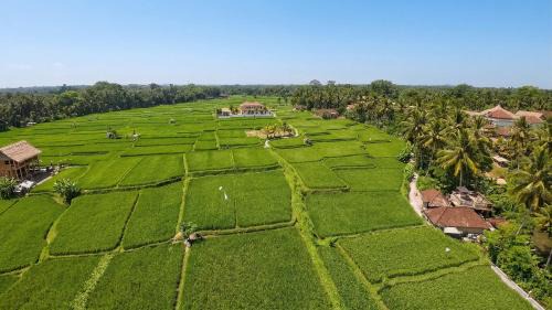 Melayang Villa | Harmony by DH - Private Pool Villa with Rooftop Terrace&Rice Field Views