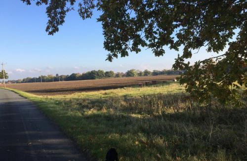 Stillingfleet Bed & Breakfast | Harmony House Boutique B&B