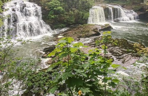 Lanark House | Harperfield Chalet
