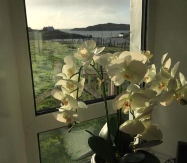 Rodel House | Harris White Cottage