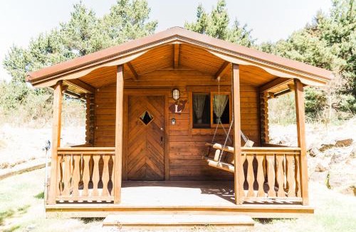 Pacific City Other | Hart's Camp