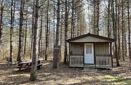 Prattsburgh Cabin | HARVEST MOON - ROMANTIC - OFF GRID - WINE TRAIL CABIN - Pet Friendly! 4 Seasons