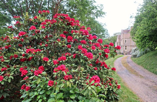 Winterley Cottage | Haslington House