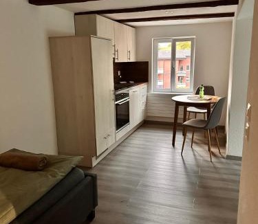Wassen Apartment | Haus Alpenhof