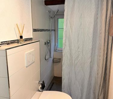 Wassen Apartment | Haus Alpenhof