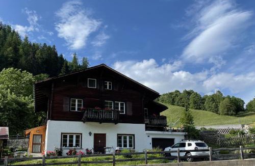 Niederwald Apartment | Haus Bortis